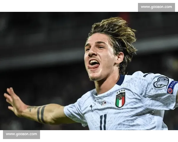 迪马济奥：那不勒斯锋线引援遇阻，乌迪内斯为卢卡标价 4000 万欧